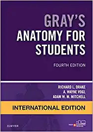 Gray's Anatomy for Students International Edition, 4e by Drake