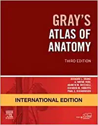 Gray's Atlas of Anatomy, International Edition, 3e by Drake