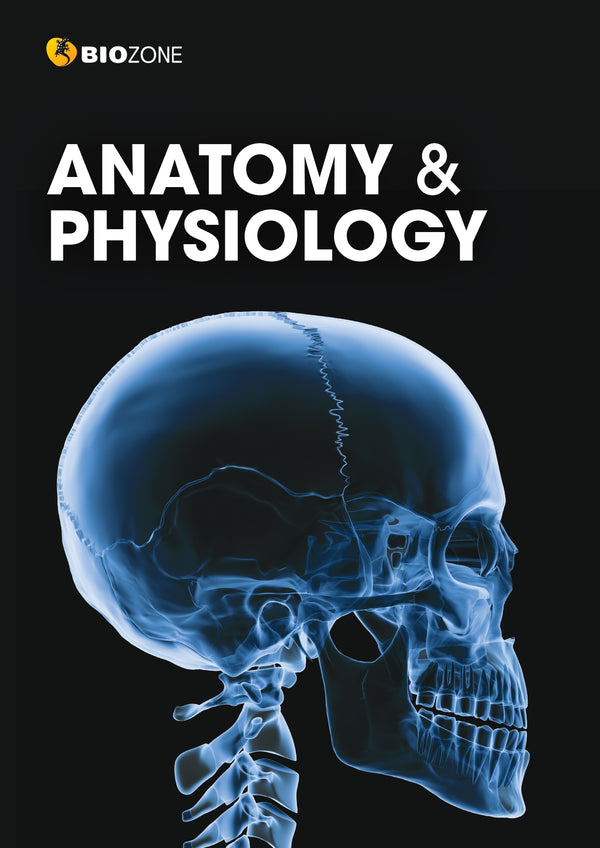 Anatomy and Physiology (3rd Edition) - Student Edition