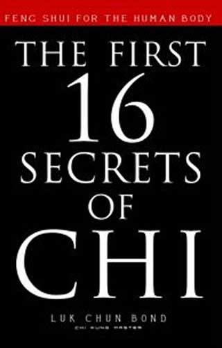 THE FIRST 16 SECRETS OF CHI 1ST/e, by LUK CHUN BOND
