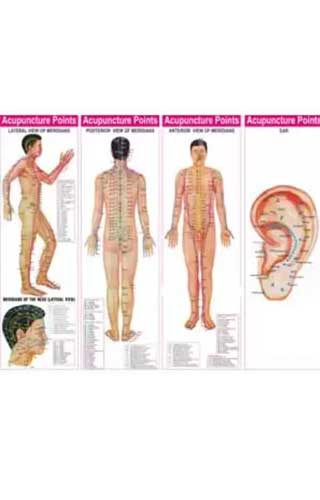 ACUPUNCTURE/ACUPRES. CHART (set of 4) 1ST/e, by BJAIN