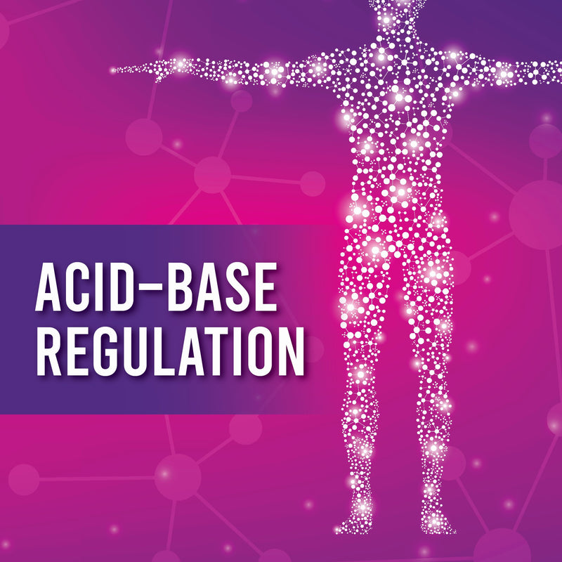 ACID-BASE REGULATION 1/E, 2024, SK SAHOO