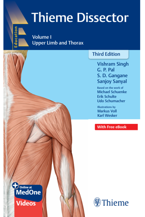 Thieme Dissector Volume 1 Upper Limb and Thorax Third Edition 2026 cover