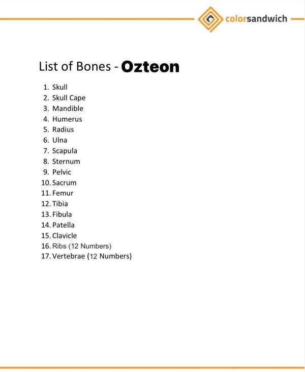 Human Disarticulated Bone Set for MBBS 1st year