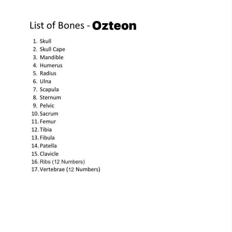 Human Disarticulated Bone Set for MBBS 1st year