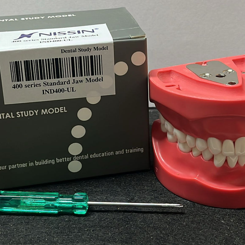 Nissin Indo Japan 400 Series Screw Type Hard Gingiva Jaw Model with 32 Teeth