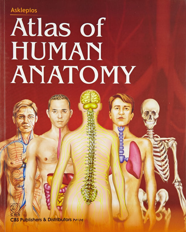 Asklepios Atlas Of Human Anatomy Sie (Pb 2014) , by Asklepios