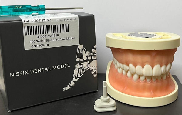 Nissin Japan 300 Series Jaw Model – Soft Gingiva, 32 Teeth, Snap-On + Screw-Type
