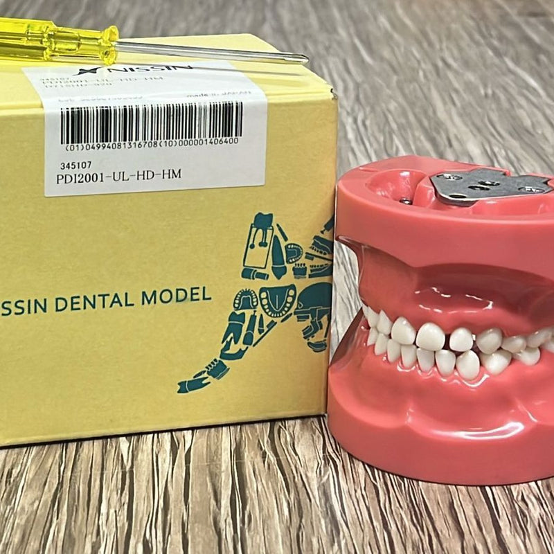 Nissin 920 Series Pediatric Jaw Model – Screw Type Hard Gingiva (International Model, White)