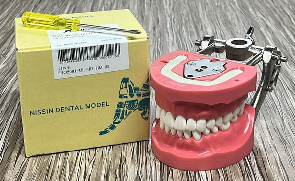 🦷 Nissin Japan 200 Series Screw-Type Jaw Model with 32 Teeth With DP Articulator – Hard Gingiva | Dental Study Model