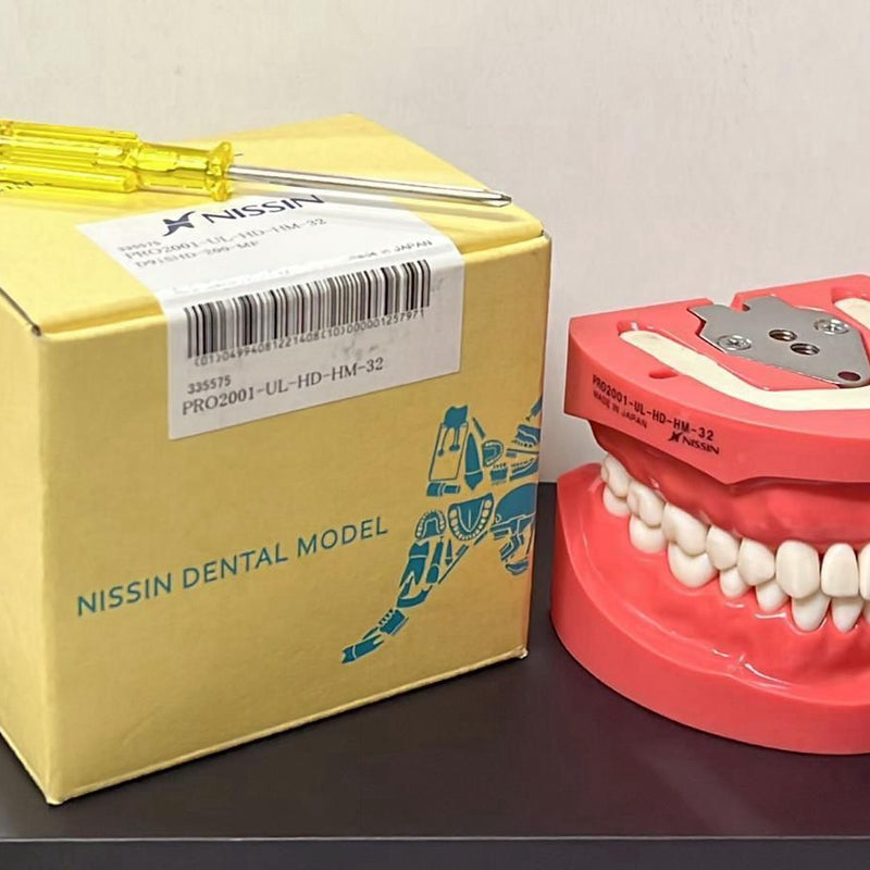 🦷 Nissin Japan 200 Series Screw-Type Jaw Model with 32 Teeth – Hard Gingiva | Dental Study Model