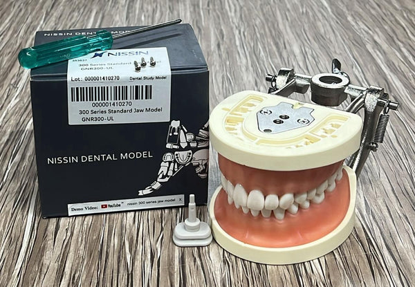 Nissin Japan 300 Series Jaw Model – Soft Gingiva, 32 Teeth, Snap-On + Screw-Type with DP Articulator