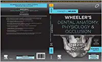 Wheeler's Dental Anatomy, Physiology and  Occlusion, 2nd South Asia Edition by Nelson