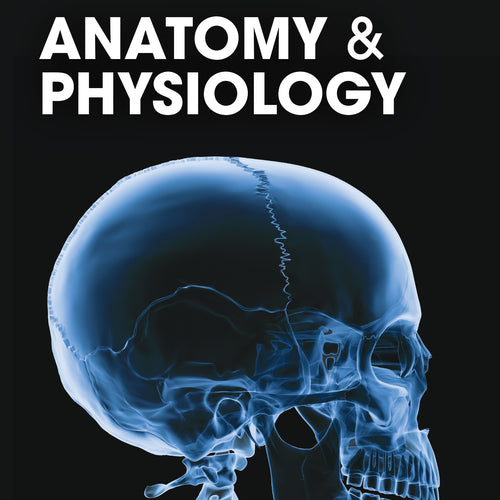 Anatomy and Physiology (3rd Edition) - Student Edition