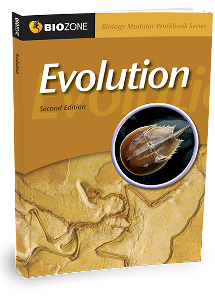 Evolution Modular Workbook