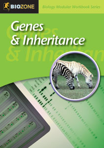 Genes and Inheritance Modular Workbook
