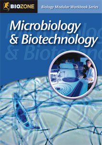 Microbiology & Biotechnology Modular Workbook